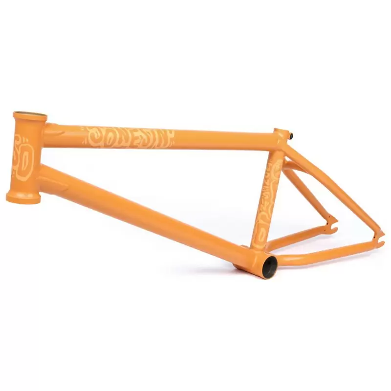 ridewill3823136