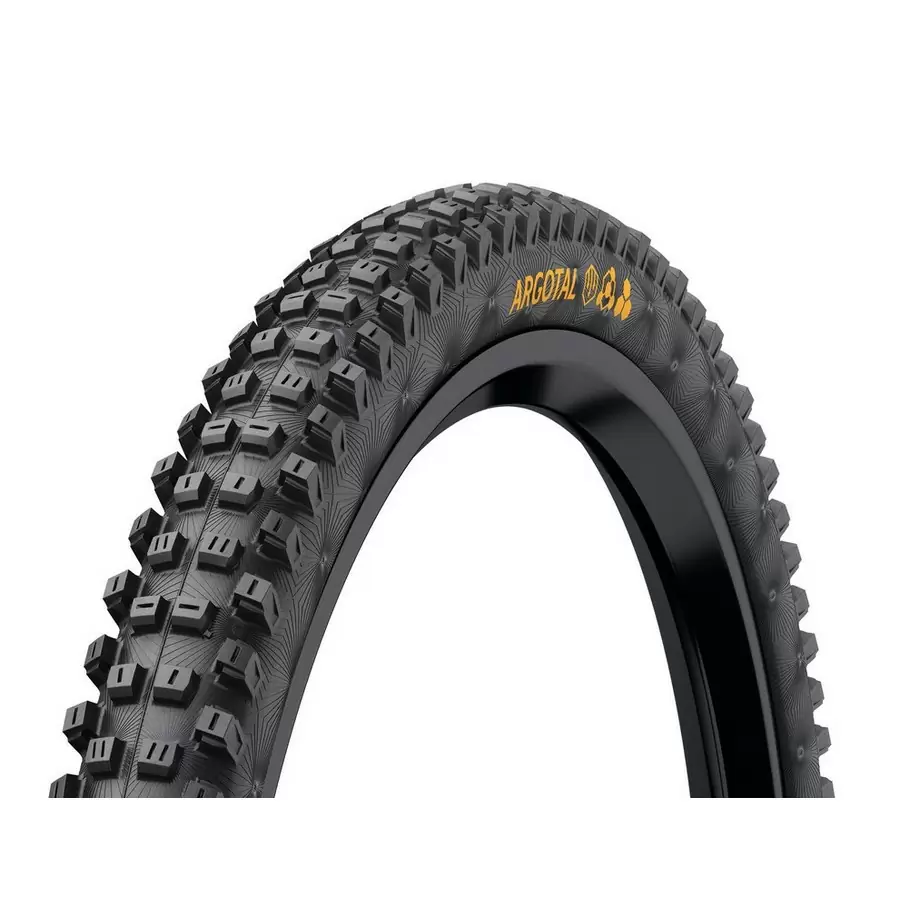 ridewill3838965