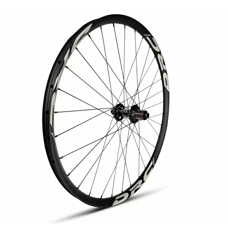 ridewill3842351