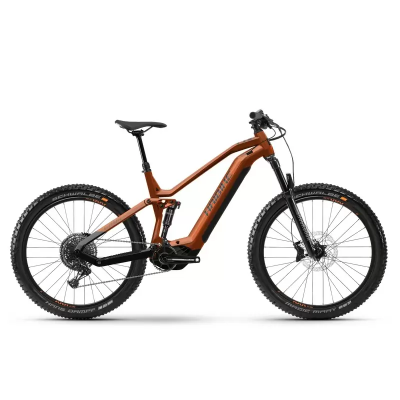 ridewill3844098