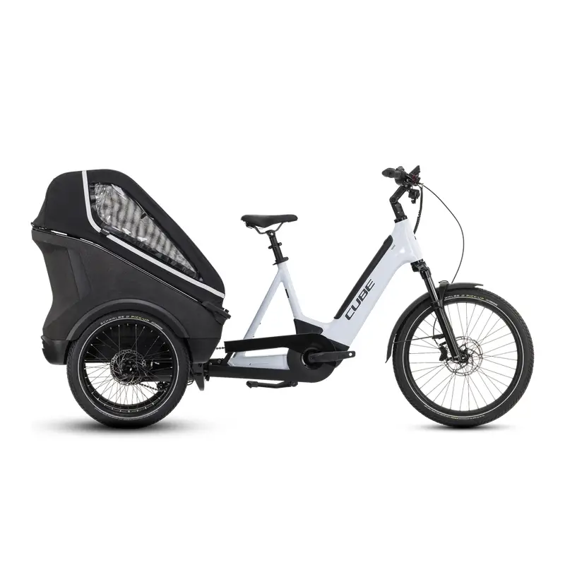 ridewill3854947