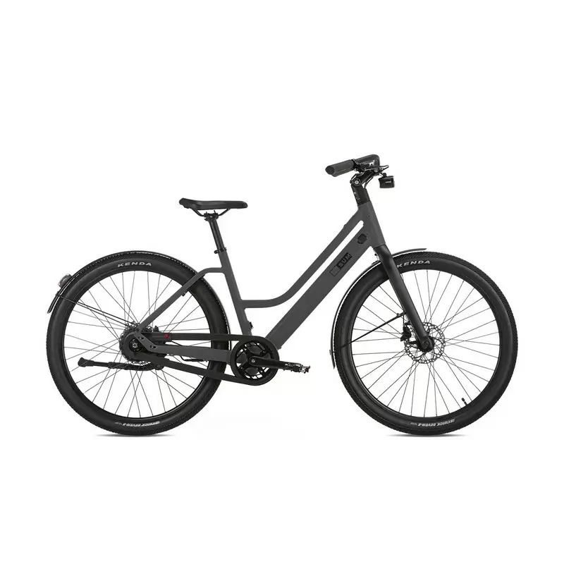 ridewill3866119