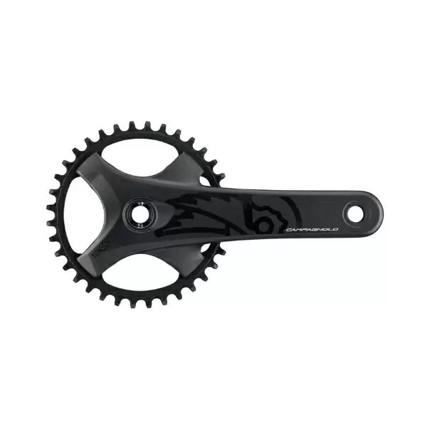 ridewill3880059