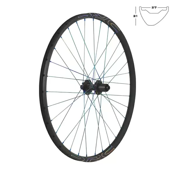 ridewill3914221