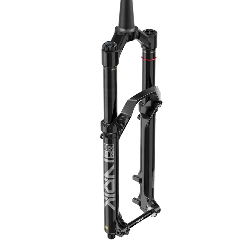 ridewill3930650