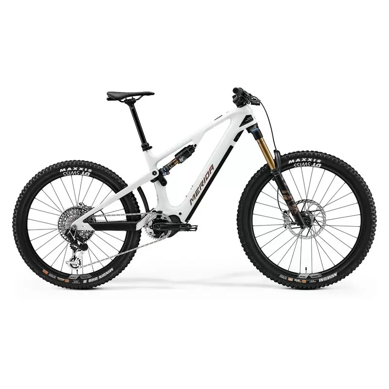 ridewill3935972