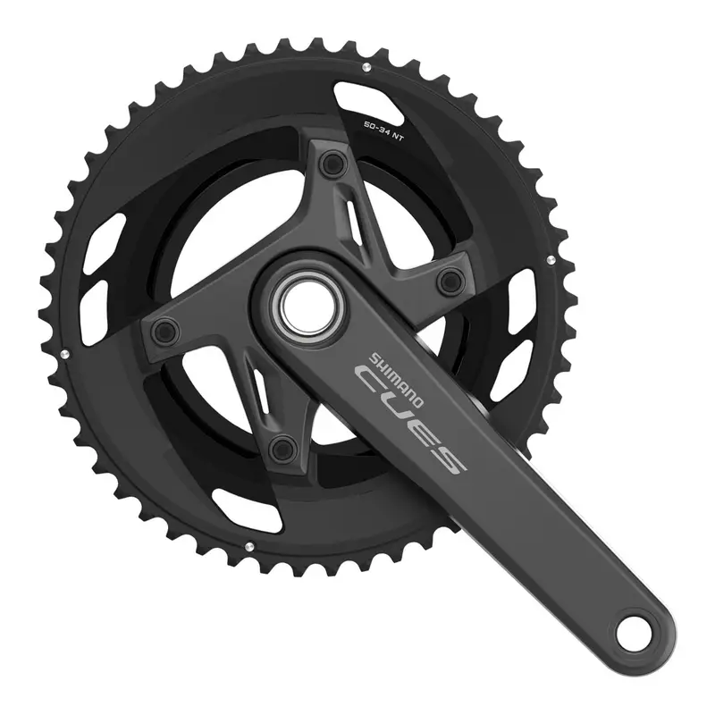 ridewill3990578