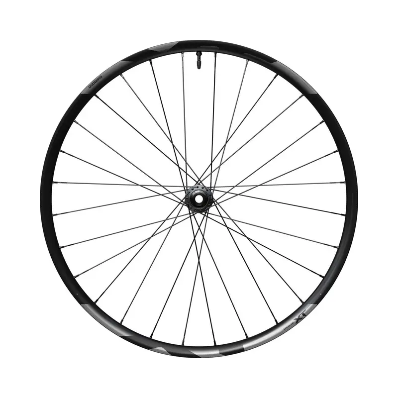 ridewill3991648