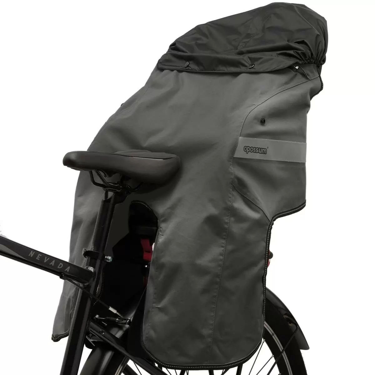 ridewill3995834