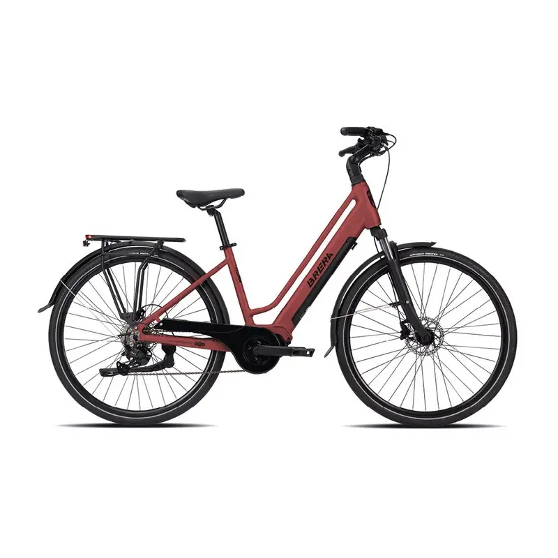 ridewill3998056