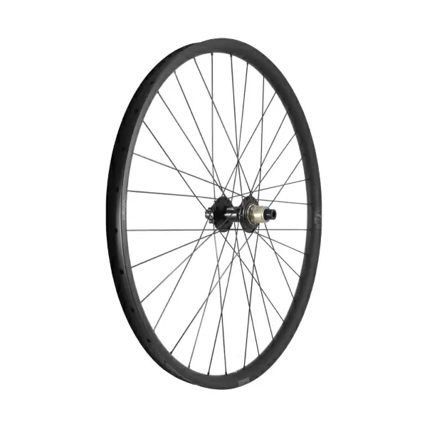 ridewill4009178