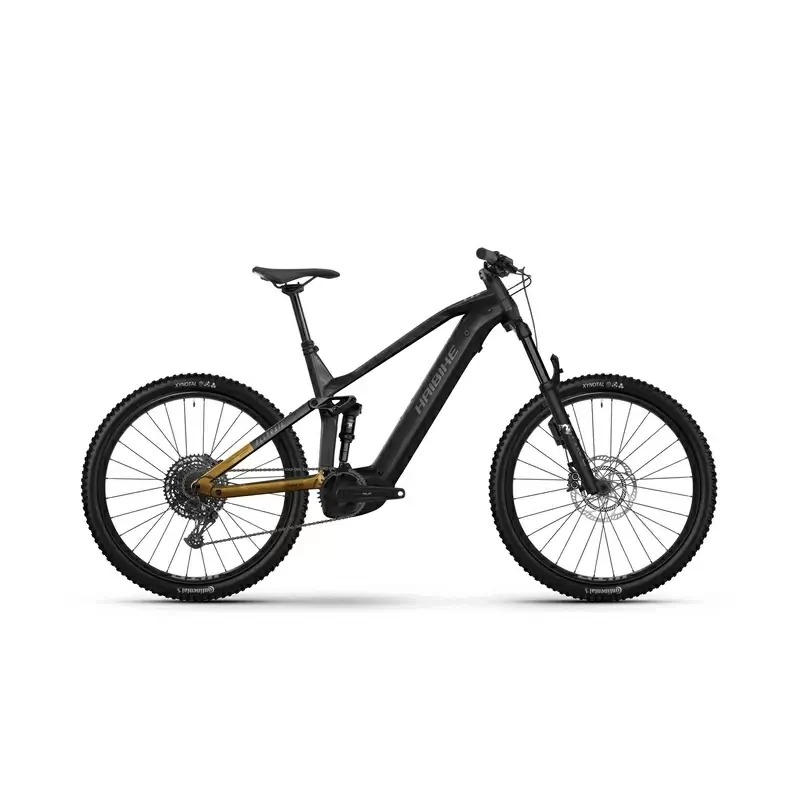 ridewill4028422