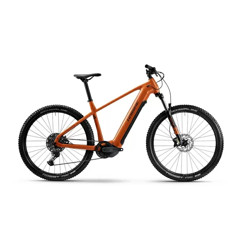 ridewill4029193