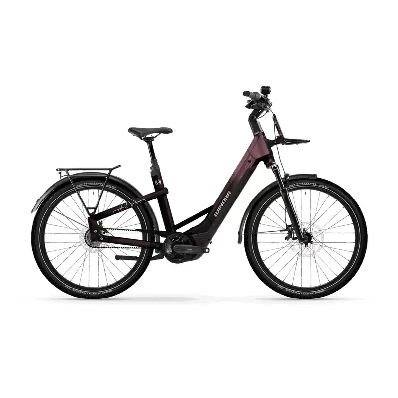 ridewill4029490