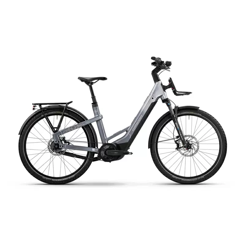 ridewill4029610