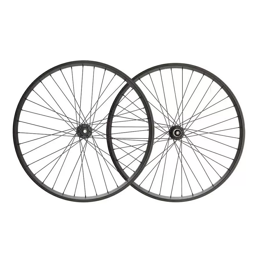 ridewill4051804