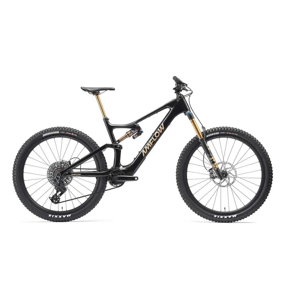 ridewill4103131