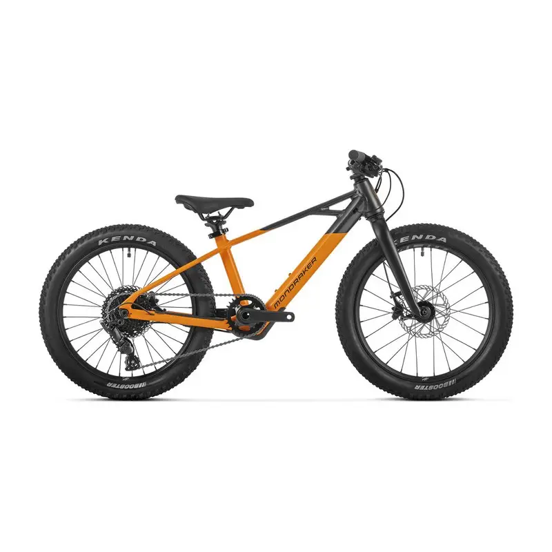 ridewill4130947