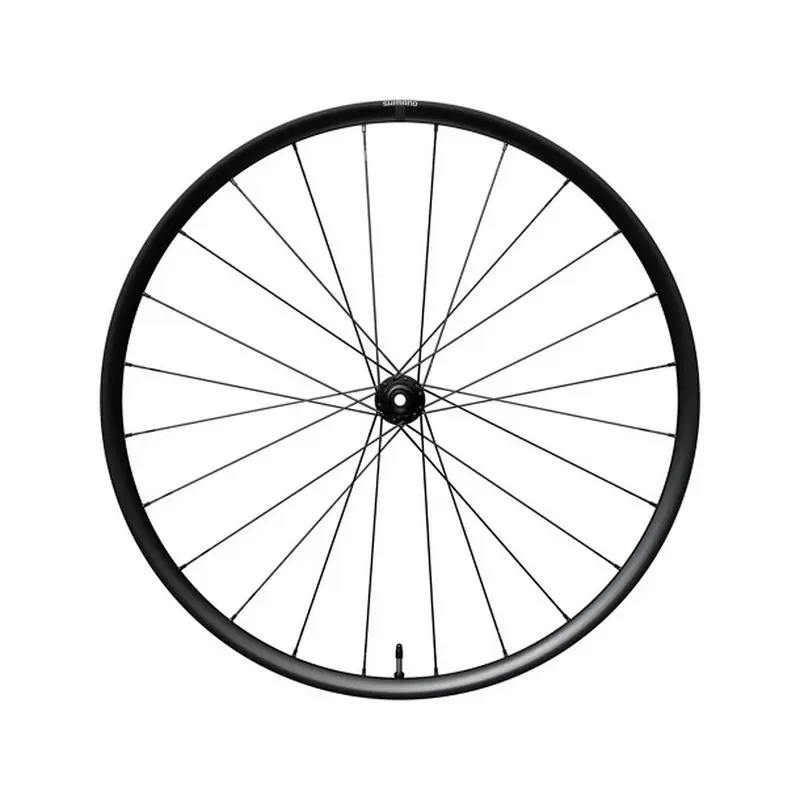 ridewill4149858